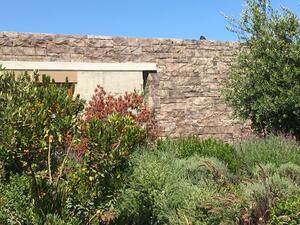 Cobble Stone Nº 40