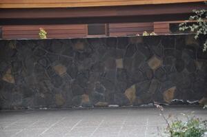 Field Stone Nº 64