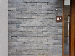 Onix Nº 5